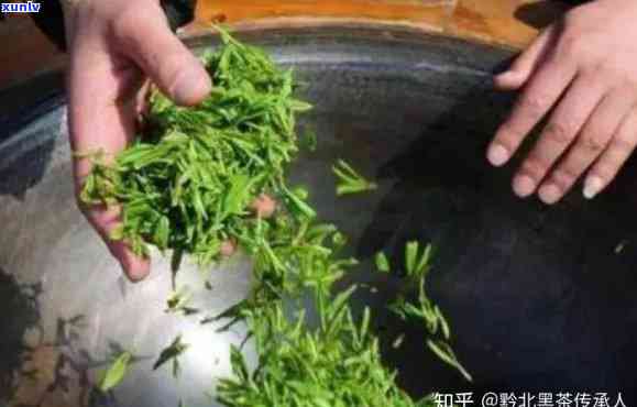 潮汕炒茶适合藏吗，潮汕炒茶：适合长期存吗？