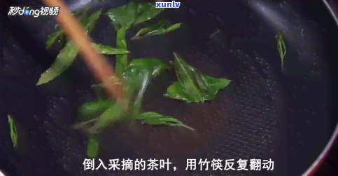 食叶草茶的加工 *** 视频，掌握食叶草茶的加工 *** ，轻松 *** 健饮品！