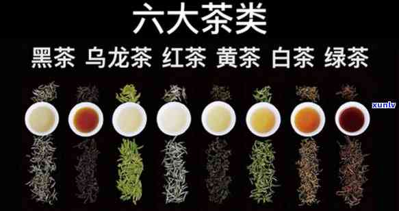 六大茶类哪个比较好-六大茶类哪个比较好喝