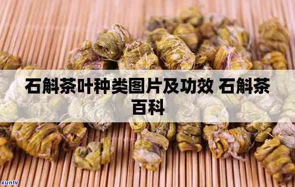 全面解析石伟茶：功效与作用图片大全，详解其功效与作用