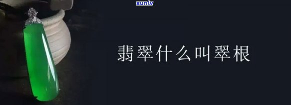 翡翠玉根是什么，探秘翡翠玉根：起源、种类与鉴赏 *** 