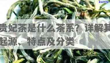 贵妃茶又叫什么茶？探索其别名与分类