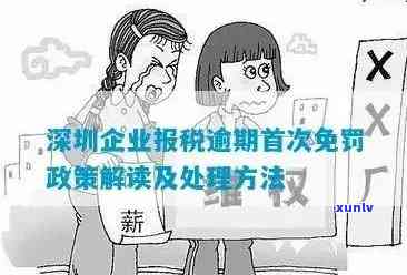 企业税款逾期，未准时缴纳企业税款，可能面临的结果与解决方案