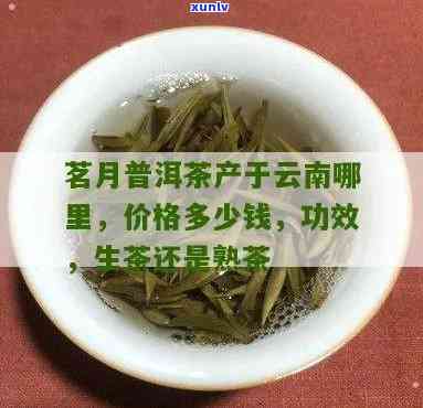 茗月普洱茶的功效与价格全解析