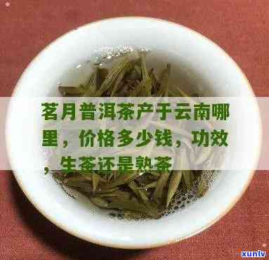 茗月茶的功效与作用-茗月普洱茶有什么功效