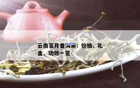 茗月茶的功效与作用-茗月普洱茶有什么功效