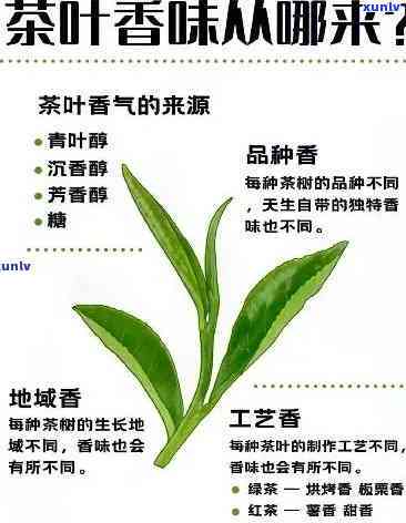 陈香茶香：探索其独特的香气与茶叶品种，以及其带来的健益处