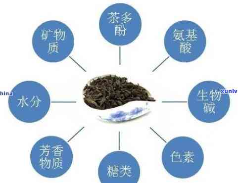 芽孢茶的功效与作用及禁忌，芽孢茶：功效、作用与使用禁忌全解析