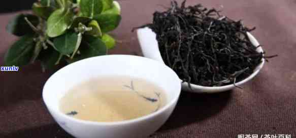 紫鹃属于什么档次的茶，紫鹃：探析其所属的茶叶档次