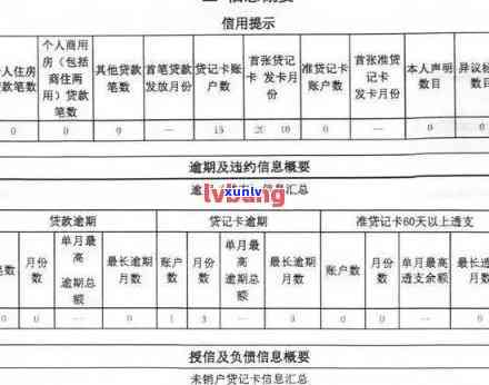 报告逾期透支信息汇总怎么看，详解怎样查看报告中的逾期透支信息汇总