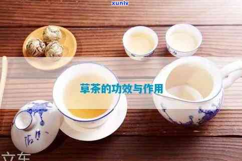 本草茶是什么？功效、作用与茶叶全面解析