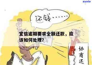 发逾期3天，现在要我全额还款，怎么办？是不是有减免政策？