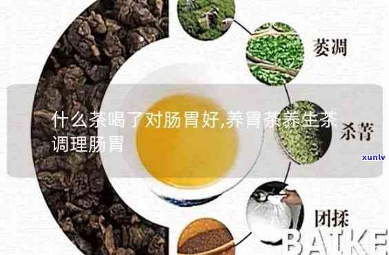 养胃茶的功效与作用解析：全面了解其保健效果