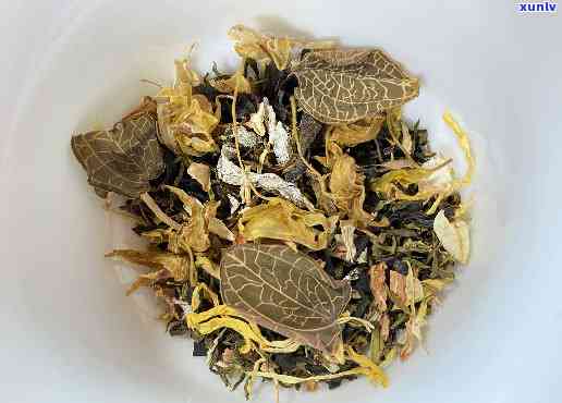 金线莲养肝茶的功效与作用，探索金线莲养肝茶的神奇功效与作用