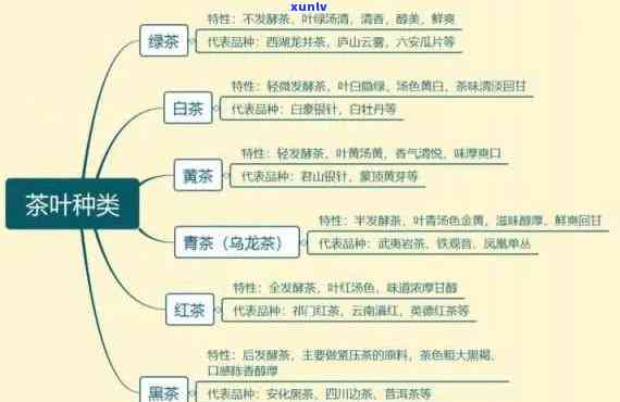 各种茶的分类与作用详解