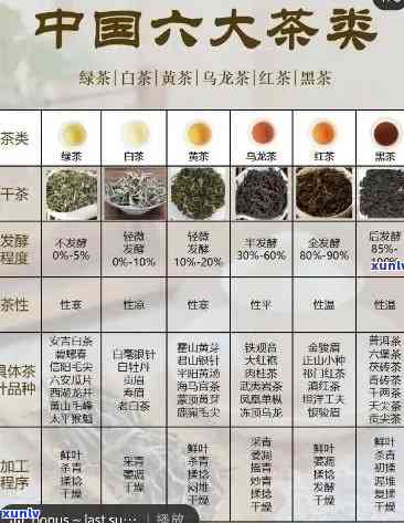 各种茶的分类与作用详解