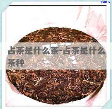 占茶是什么茶，「占茶」是什么茶？带你了解这款独特的茶叶