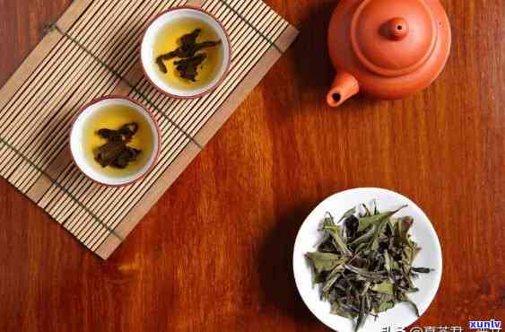 占茶是什么茶，「占茶」是什么茶？带你了解这款独特的茶叶