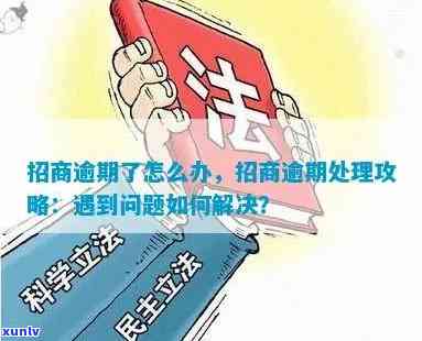 招商逾期撤销案件怎么办，怎样解决招商逾期撤销案件？