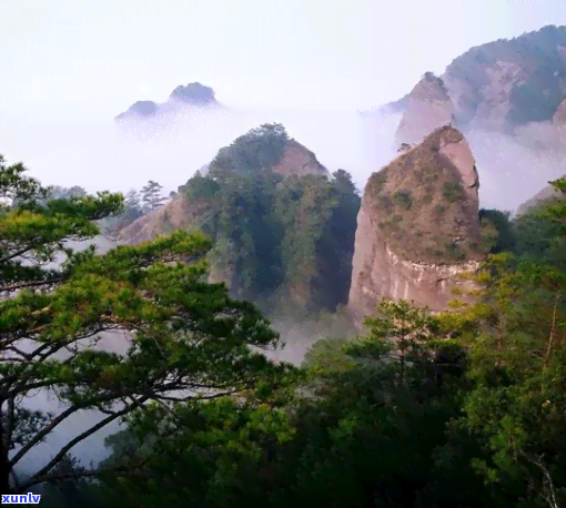 什么是翡翠水-什么是翡翠水路