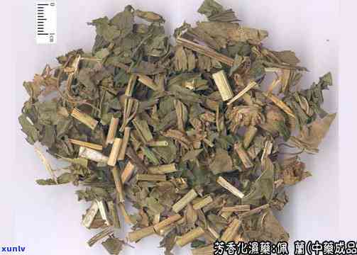 藿香佩兰茶能长期喝吗，藿香佩兰茶：长期饮用的适宜性与注意事