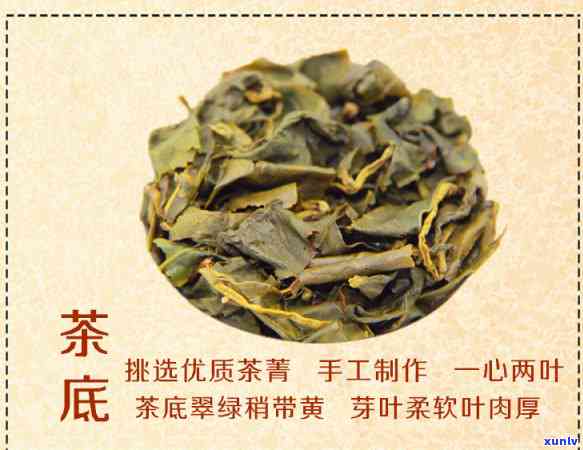梨山茶的功效与作用，探索梨山茶的神奇功效与作用！