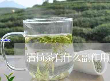 清荷茶的功效与作用-清荷茶的功效与作用禁忌