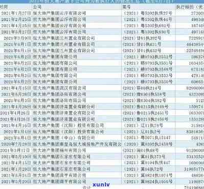 中国恒大集团逾期人员名单公示：最新情况