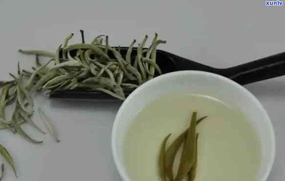 银针茶属于什么茶，探索茶叶世界：揭秘银针茶的种类归属