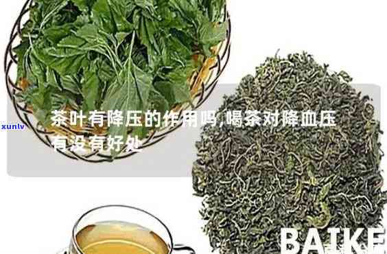 降压茶的功效与作用-降压茶的功效与作用及禁忌