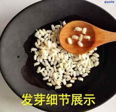 全面解析：胚芽的功效、作用及食用 *** 