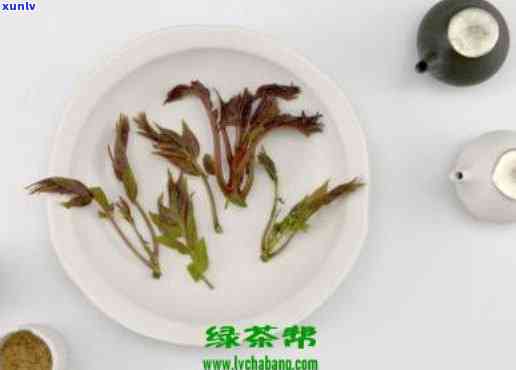 春芽茶的功效与作用及禁忌症，探秘春芽茶：功效、作用及使用禁忌