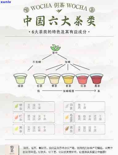 茶的六大分类及作用是什么，深度解析：茶的六大分类及其独特功效