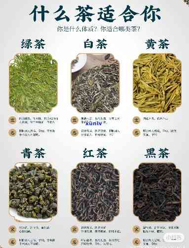 茶的六大分类及作用-茶的六大分类及作用是什么