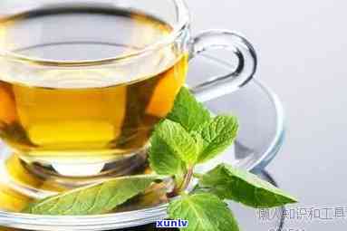 清脂茶的功效与作用-清脂茶的功效与作用及禁忌