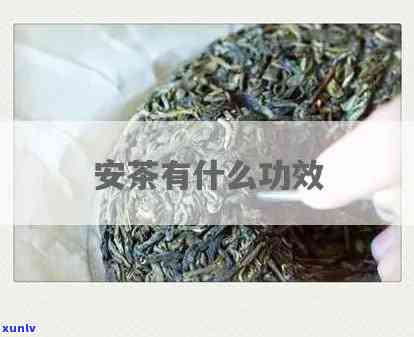 安茶有何功效，探索安茶的神奇功效