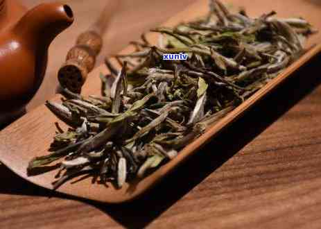 大白毫是什么茶，解密茶叶世界：大白毫，一种独特的茶类