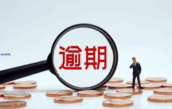 平安逾期下达通缉令-平安逾期下达通缉令怎么办