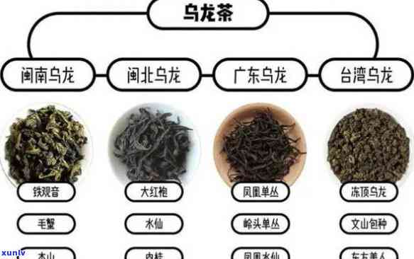 全面解析源青茶的功效、作用与禁忌