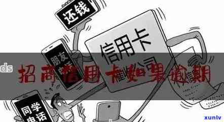 招商几十元钱逾期怎么办，招商几十元钱逾期解决  