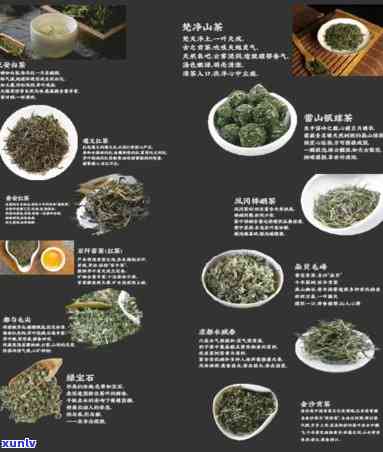 十二茶官网，探索健生活：访问十二茶官网，了解我们的茶叶产品和健益处