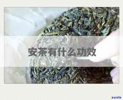 六安茶的功效与作用-陈年六安茶的功效与作用