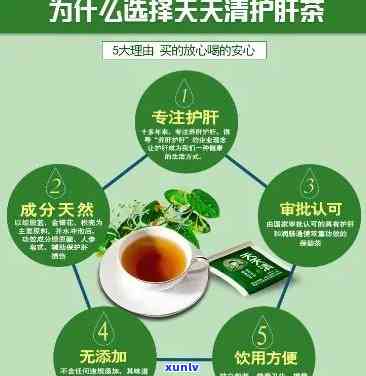 天天护肝茶：功效、作用、禁忌与副作用全解析