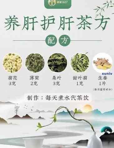 护肝茶的功效与作用禁忌，护肝茶：功效、作用及使用禁忌全解析