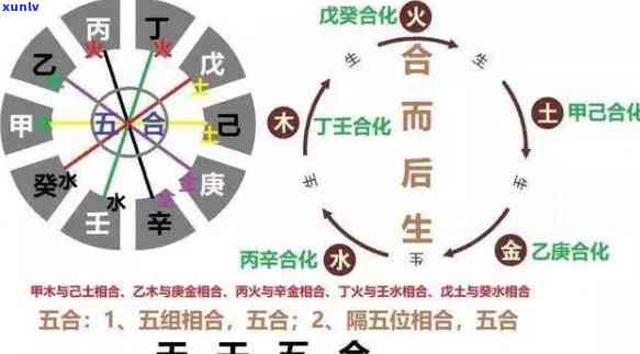 全面解析：四合的功效、作用及禁忌