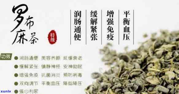 常喝罗布麻茶：有哪些好处？能有效降血压吗？