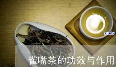 雀嘴茶的功效与作用详解