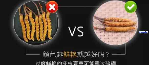 全面解析虫草茶：功效、作用、食用 *** 与禁忌