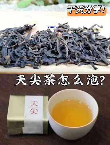 天尖茶的功效与作用是什么怎么喝最有营养，「天尖茶」：功效、营养价值与饮用方式