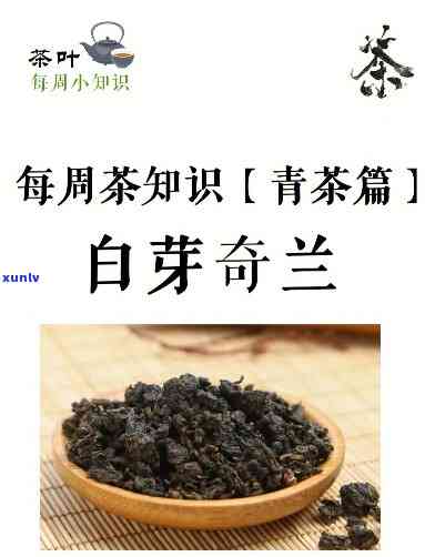 奇兰茶的功效与作用-白芽奇兰茶的功效与作用